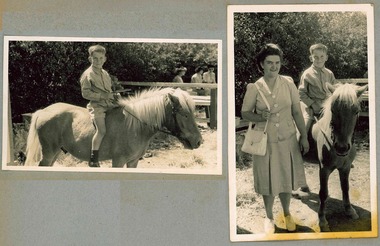 Photograph - Photo, Holmbush boy on a horse, 194X