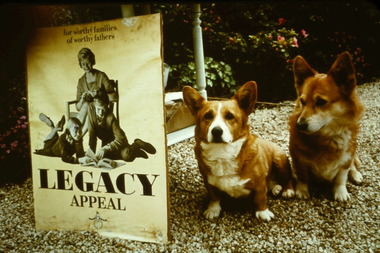 Slide, Legacy Appeal, 1960s
