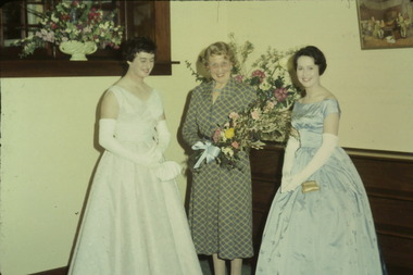 Slide, Dressed for the Royal Ball 1959, 1959