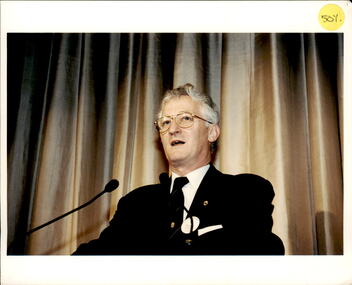 Photograph - Past presidents, Legatee Graham Riches, President 1999, 1999