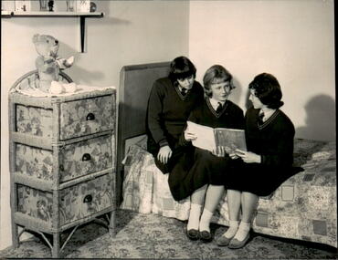 Photograph, Harelands