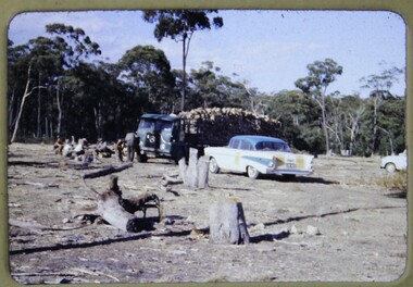 Slide, Operation Firewood - Euroa, 1960s