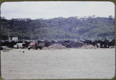 Slide, Operation Firewood - Eildon, 1960s