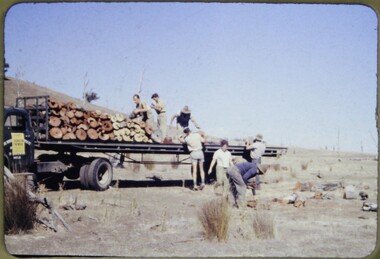 Slide, Operation Firewood - Merton, 1960s