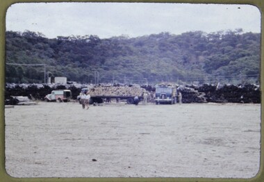 Slide, Operation Firewood - Eildon, 1960s