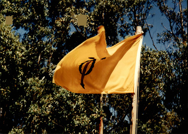 Photograph - Junior legatee outing, Legacy Flag at the camp, 1990s