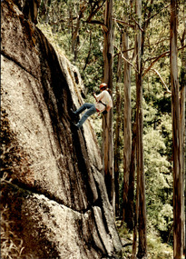 Photograph - Junior legatee outing, Abseiling at a camp, 1990s