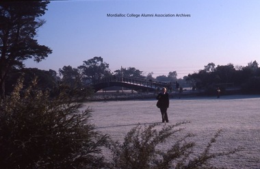 Photograph, 1982 August - Frost on grounds of Mordialloc-Chelsea High School with footbridge in background, 1982