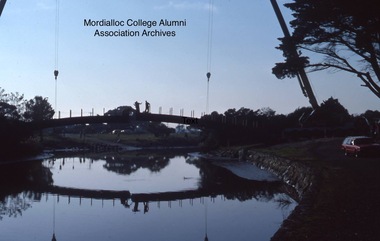 Photograph, 1981 - Construction of footbridge over Mordialloc Creek