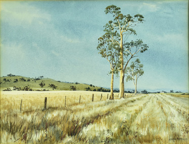Watercolour, Margret Metcalf, Gums Near Yea