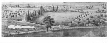 Photograph - Early Canterbury, 1882