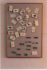 Photograph - Display board of jewellery made by Daniel Jenkins in shop No. 116 Maling Road, Jan Pigot, 27/03/1993 12:00:00 AM