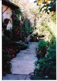 Photograph - Outside back display area of shop No. 90 Maling Road, Jan Pigot, 27/03/1993 12:00:00 AM