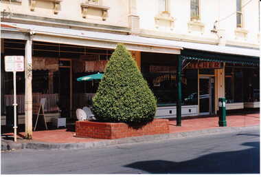 Photograph - Streetscape outside shop No. 84 and No. 82 Maling Road, Jan Pigot, 27/03/1993 12:00:00 AM