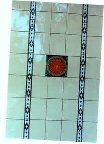 Photograph - Decorative wall tiles outside No. 82 Maling Road, Jan Pigot, 27/03/1993 12:00:00 AM