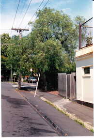 Photograph - Street view of the peppercorn tree at the back of No. 92 Maling Road, Jan Pigot, 27/03/1993 12:00:00 AM
