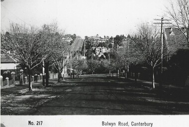 Photograph - Balwyn Road Canterbury looking South