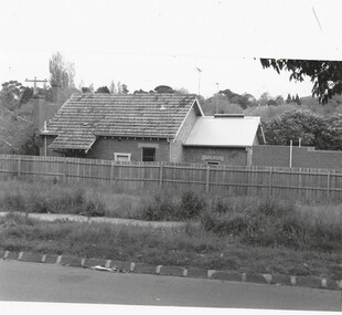Photograph - Jersey Dairy 1901 Mont Albert Road Canterbury, Jan Pigot, 1990