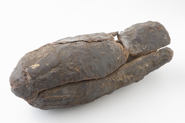 Bird mummy in a coffin, Late Period, 664-332 BCE
