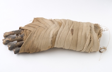 Mummified human hand, Date unknown