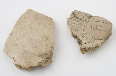 Fragments of skull, Date unknown