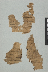 Fragments of papyrus, Greco-Roman Period (1st-3rd centuries CE)