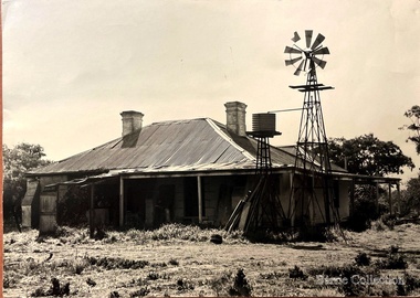 Photograph, The Willows, 1973