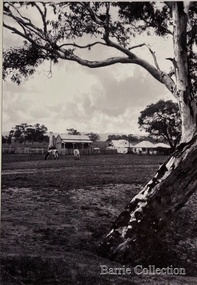 Photograph, Old Gum Toolern Creek, Unknown
