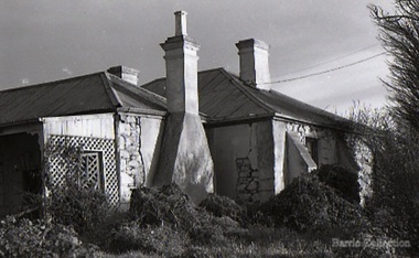 Photograph, The Willows, 1969