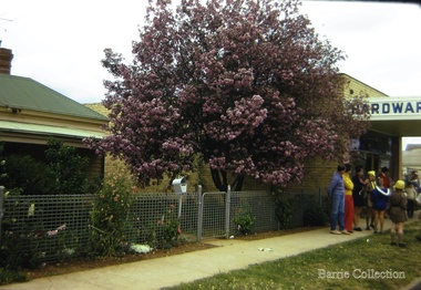 Photograph, Palmerston street, Melton, c.1970