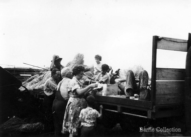Photograph, Harvest, 1961