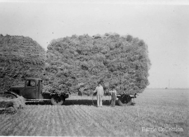 Photograph, Stacking at Ferris Road, c.1952
