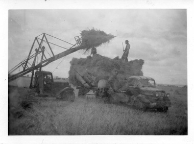 Photograph, Harvesting, 1950