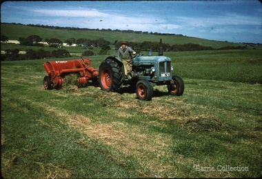 Photograph, Harvesting, 1960-1961