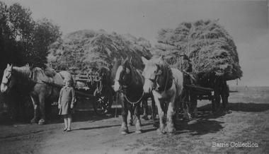 Photograph, Harvesting, 1928, 1925