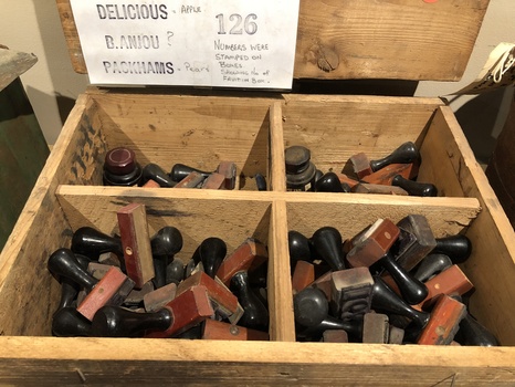A partitioned wooden box containing various fruit variety and number Rubber Stamps.