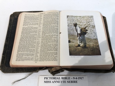 Book, Holy Bible : pictorial Bible, 1917