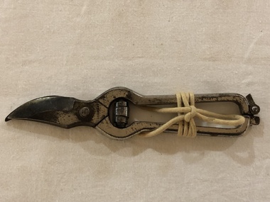 Secateurs