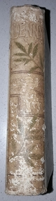 Book, Annie Gray, Denny; or from Haven to Haven, 1883