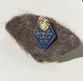 Blue and gold enamel badge of GTV Channel 9 Gerry Gee Tarax Club worn by children in the 1960's.