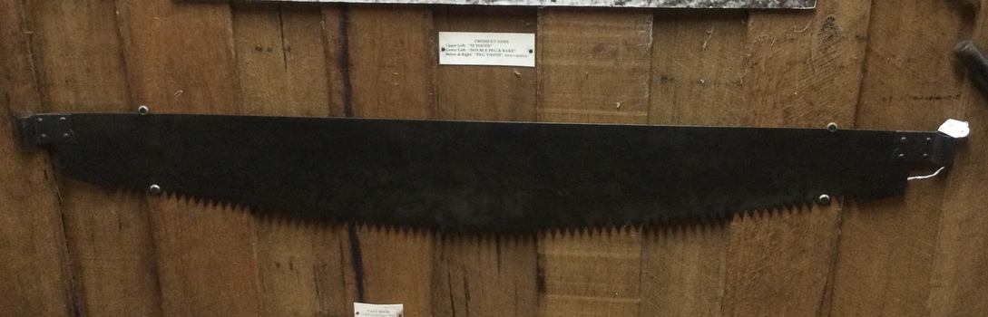A steel  fine toothed crosscut saw with no handles