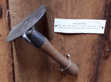 A metal wooden handled pig scraper used to remove bristles from a pig's carcass.