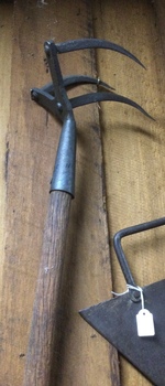A combined hoe and rake metal headed hand scarifier or cultivator tool with a long wooden handle.