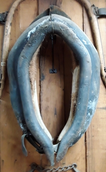 A large vintage leather horse collar with leather straps and buckles at the bottom.