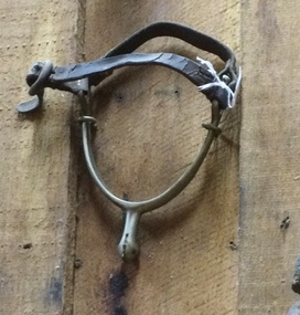 One brass and leather riding spur with a brass rounded or blunt end which has three sharp points attached.