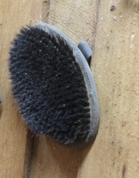 An oval shaped wooden horse brush with short black bristles and a leather strap to hold the hand in place.