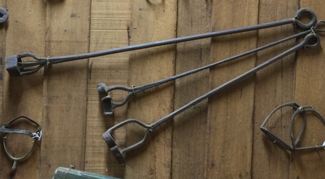 A vintage long steel branding iron with four prongs and the brand of a circle with a T in the middle one end.