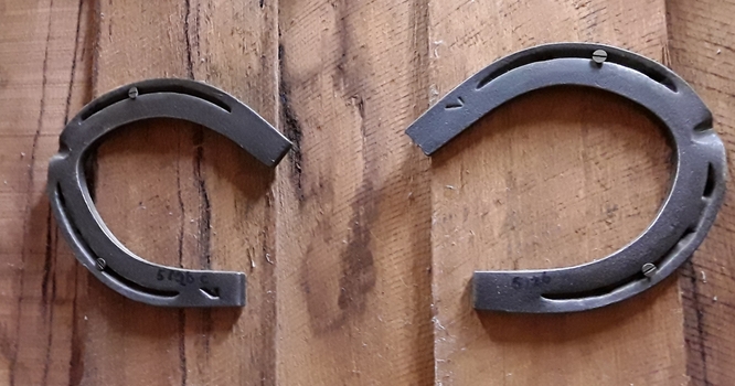 A pair of iron 'u' shaped curved horseshoes with two grooves on each side and a No 7 stamped into them.