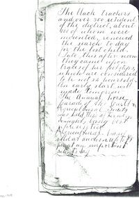 Journal - Diary, 1882-1884 (Written)