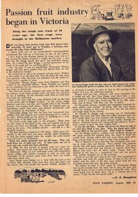 Newspaper - Article, Your Garden (newspaper), 08.1958